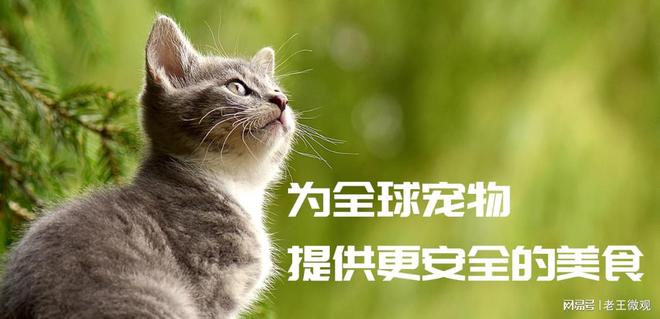 品质与创新并重打造宠物食品行业新标杆mg不朽情缘游戏平台汉欧宠物食品厂：(图2)