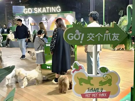 鲜生丨宠物坐高铁侯毅下厨房不朽情缘电子游戏实探派特(图2)