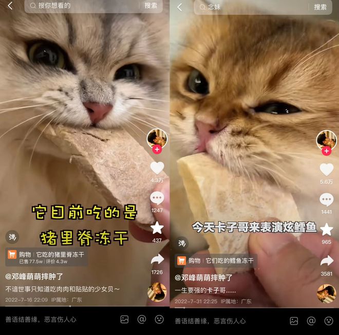 Top3这条千亿赛道杀出一匹黑马不朽情缘登录入口年销2亿抖音类目(图8)