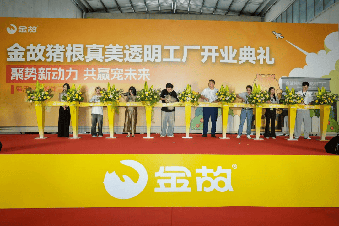 透明金故透明工厂开启宠食“云监工”时代MG不朽情缘投料、工艺、流程、资料全(图5)