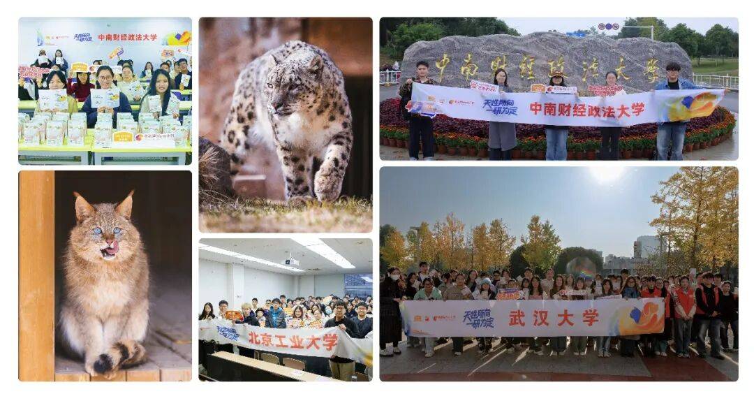 麦富迪品牌2025三大关键词：科研、智造、公益(图5)